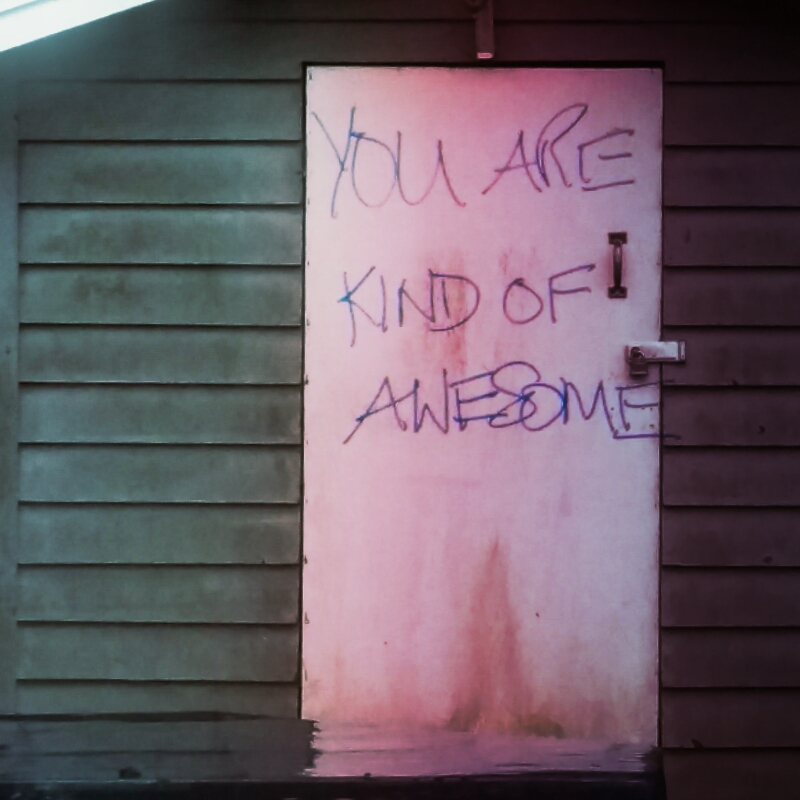 You are kind of awesome. My shed says so! 